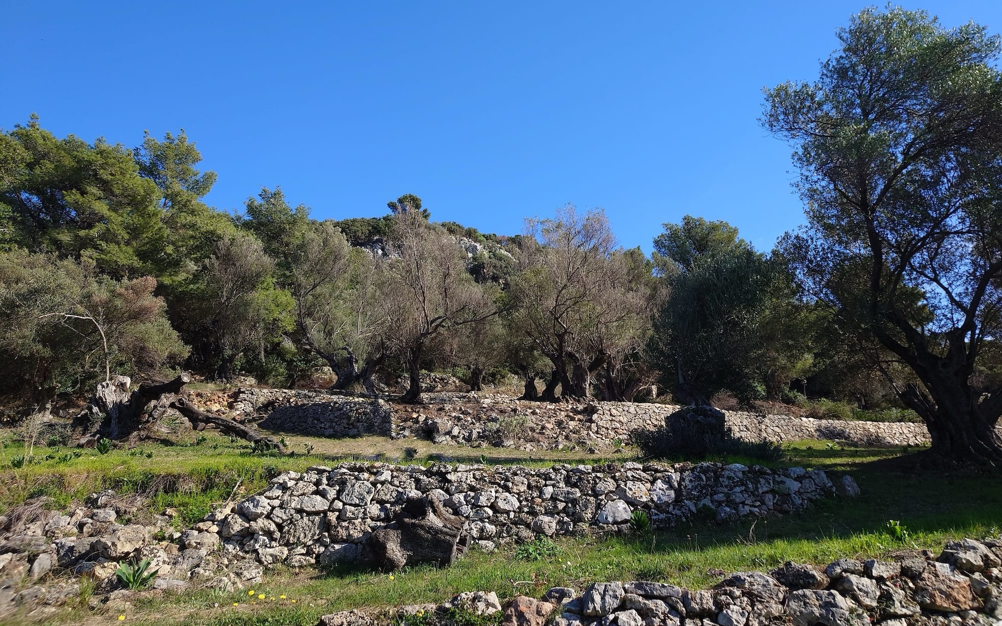 À vendre Terrain | Kefalonia - picture 2