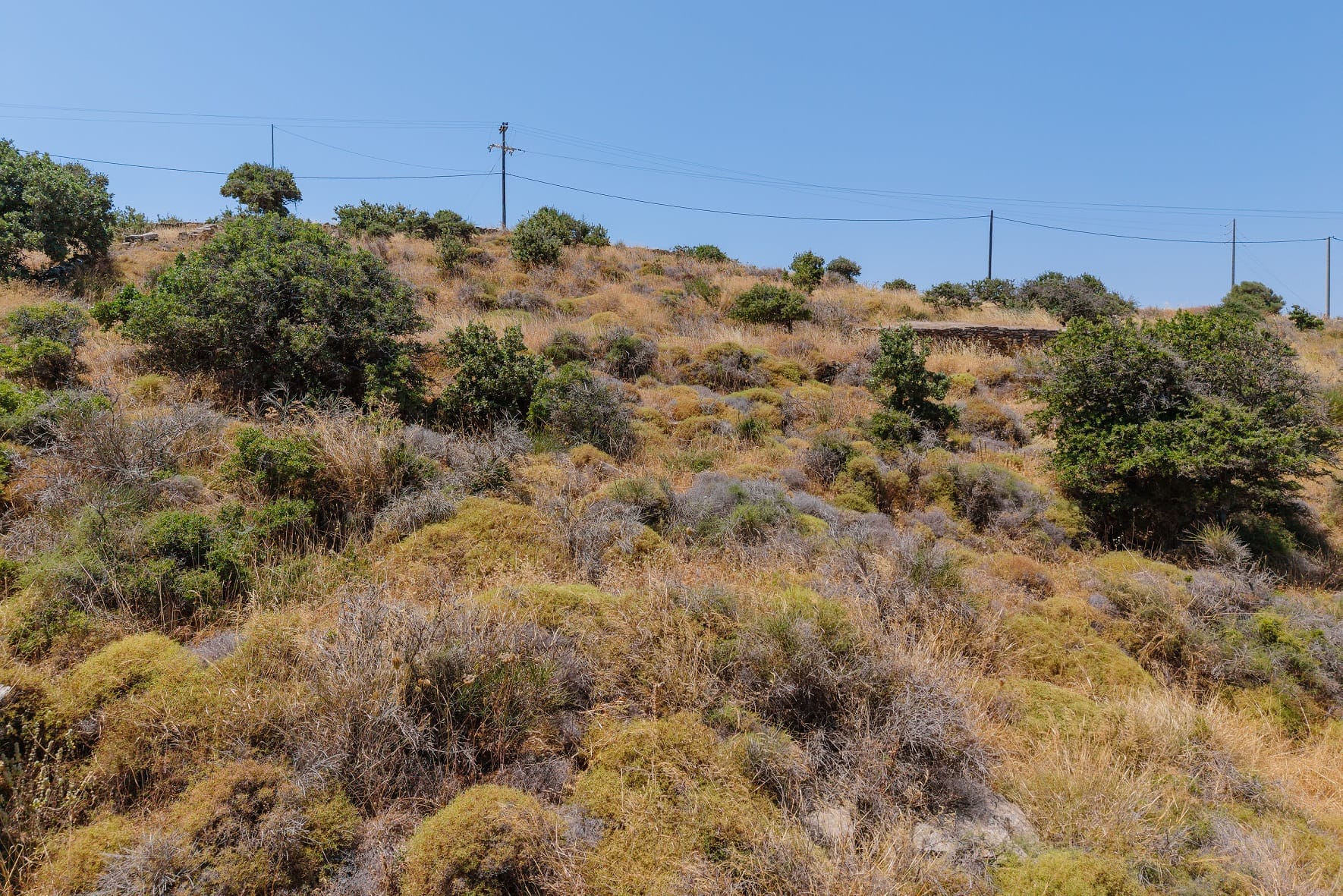 À vendre Terrain | Kea - picture 2