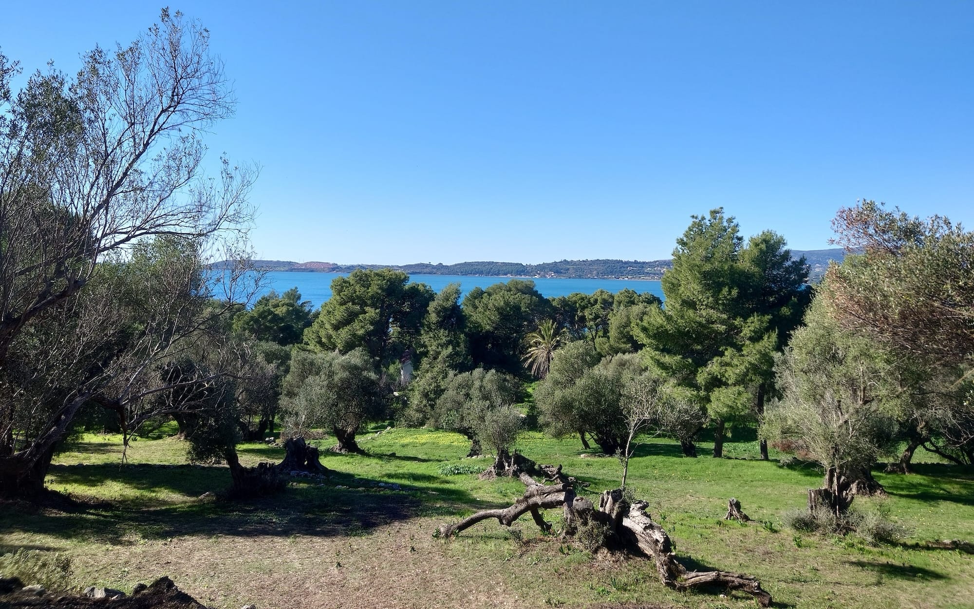 À vendre Terrain | Kefalonia - picture 3