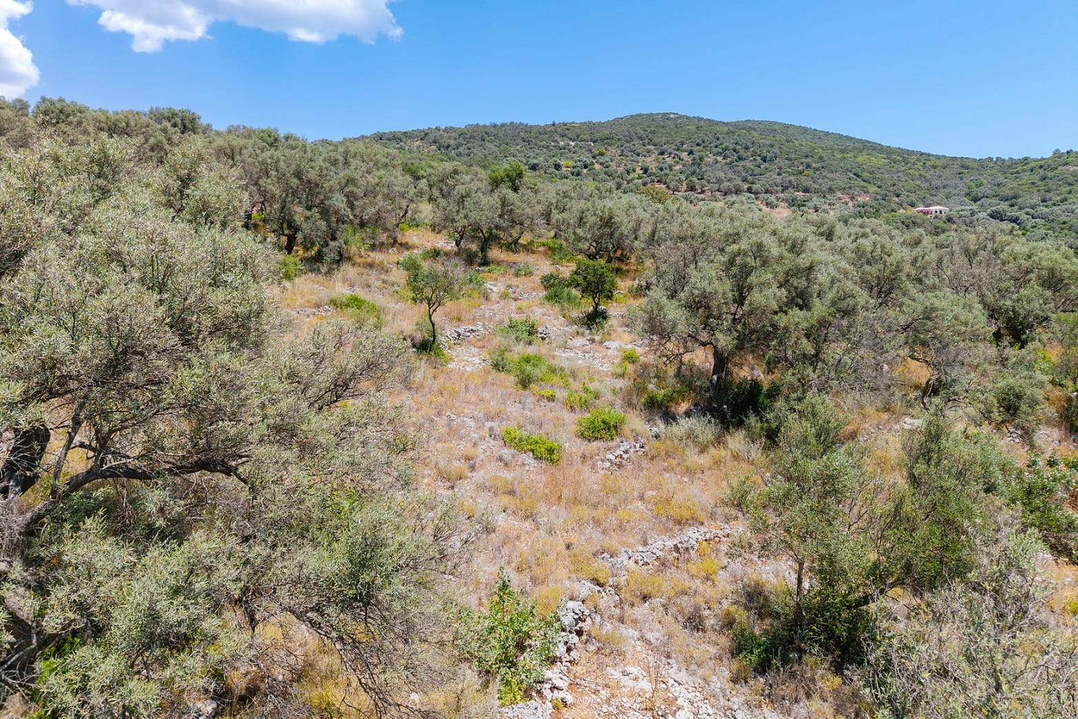 À vendre Terrain | Lefkada - picture 3